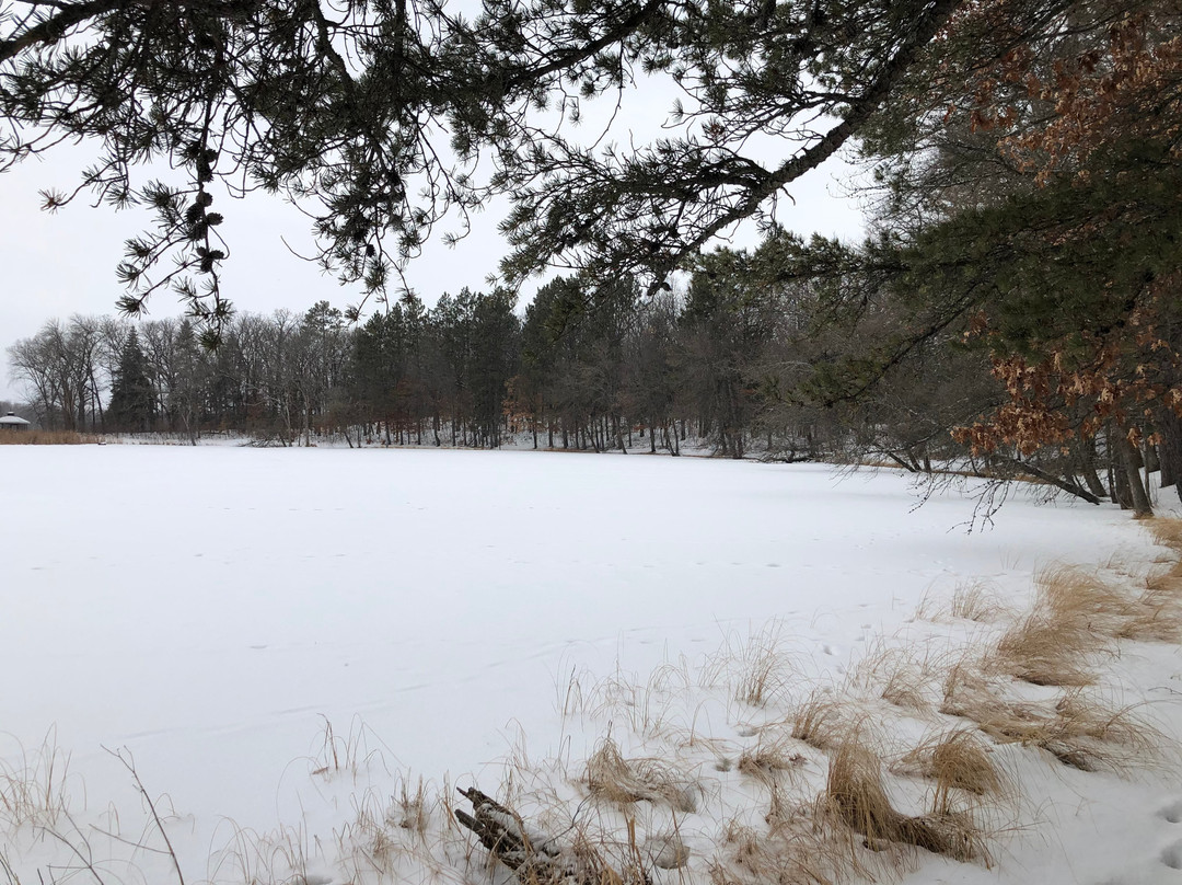 Lady Slipper Inn Bed and Breakfast主图