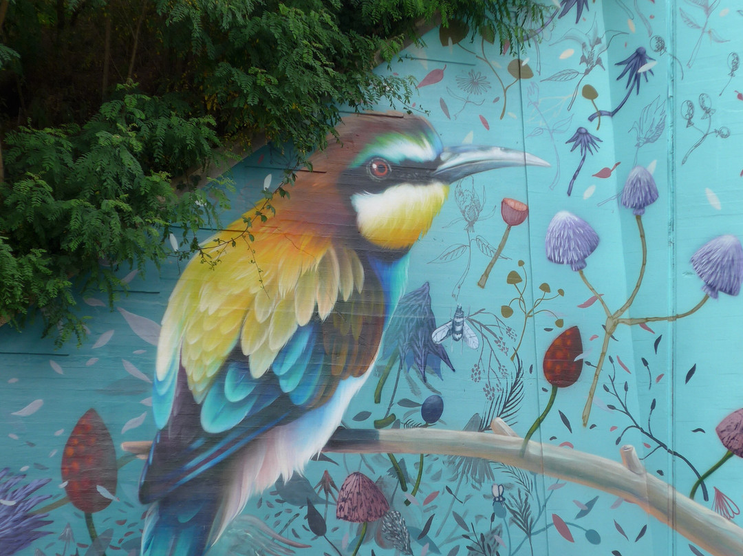 Abdij van Park景点图片