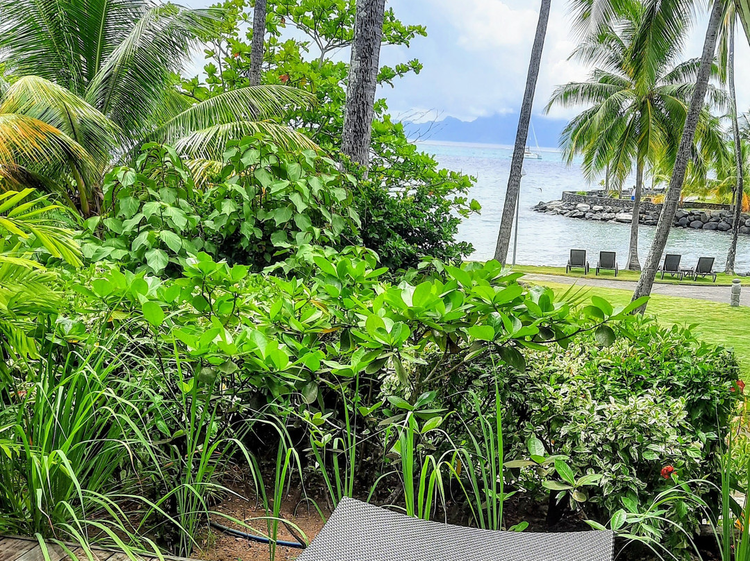 Deep Nature Spa Tahiti-法阿必去景点