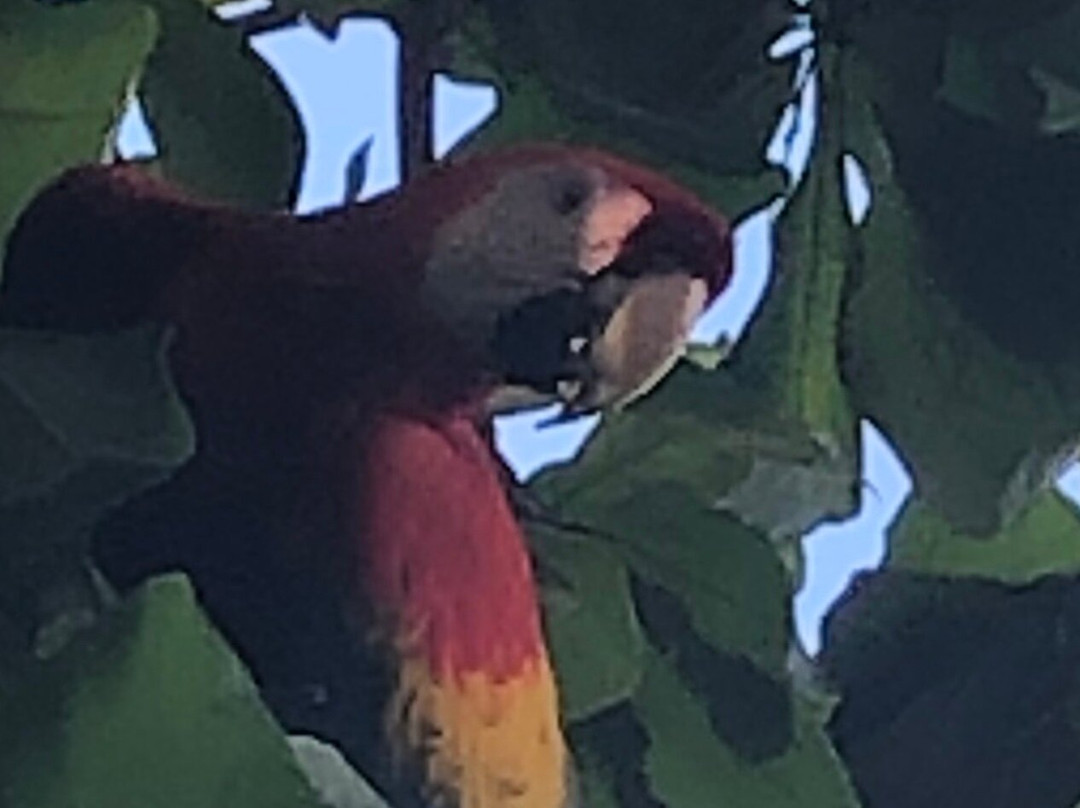 Bosque del Cabo Rainforest Lodge主图