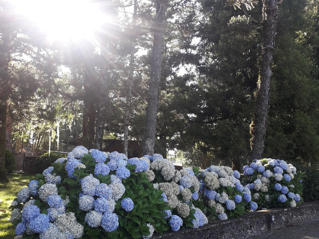 Grande Hotel Canela主图