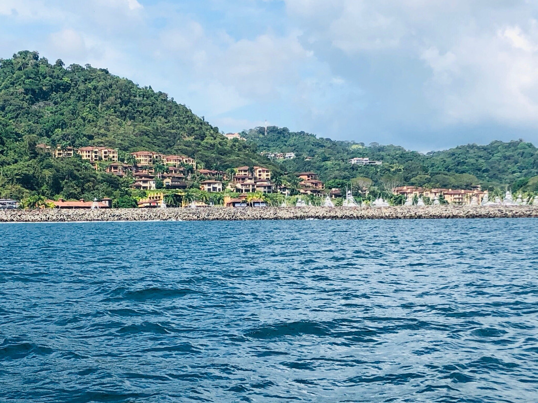 Sealounge Catamaran Costa Rica景点图片