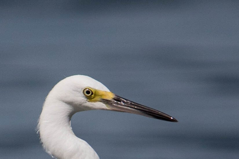 Praia Ponta Azeda-伊利亚贝拉必去景点