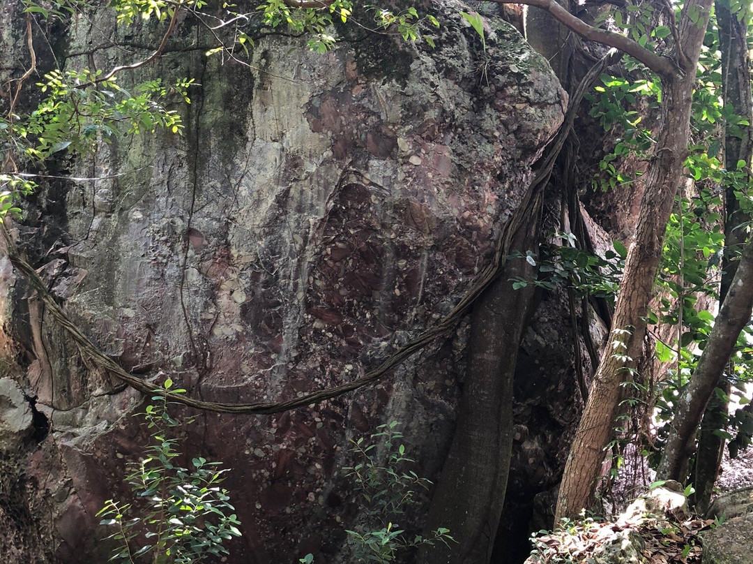 Cachoeira do Sossego-雷恩克斯必去景点