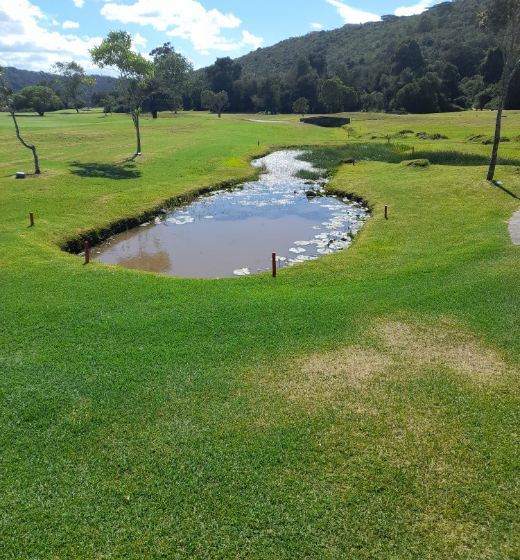 Plettenberg Bay Country Club景点图片