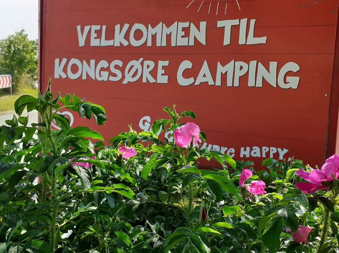 Kongsøre Camping