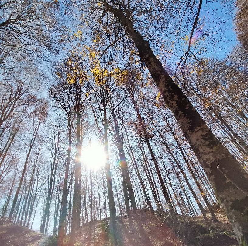 Riserva Naturale Regionale Guardiaregia-Campochiaro-Guardiaregia必去景点