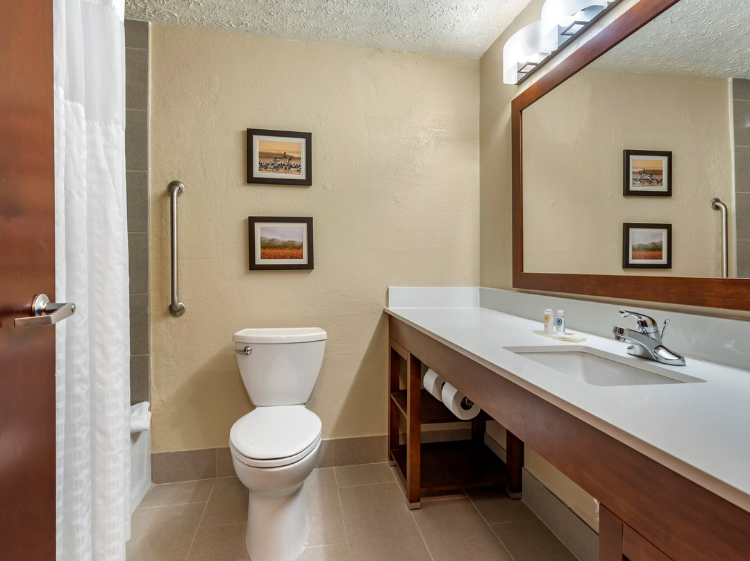 Comfort Inn Madison主图