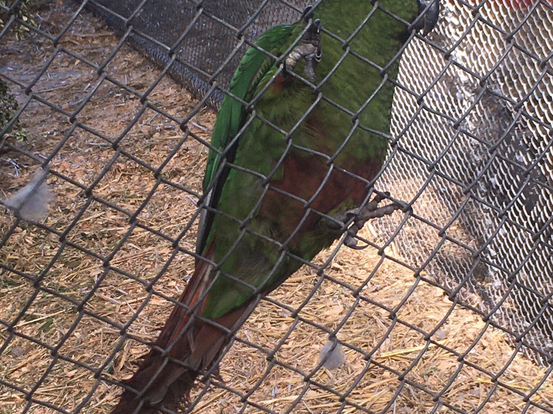 Romahue-巴拉斯港必去景点