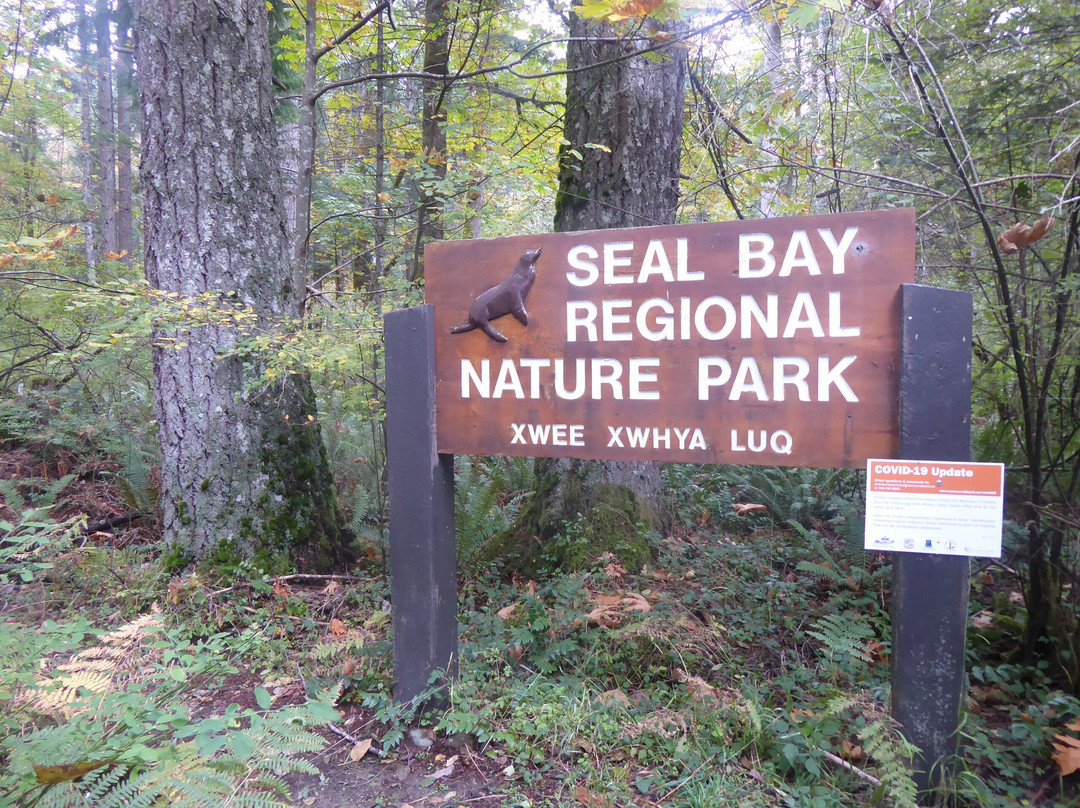 Seal Bay Nature Park景点图片