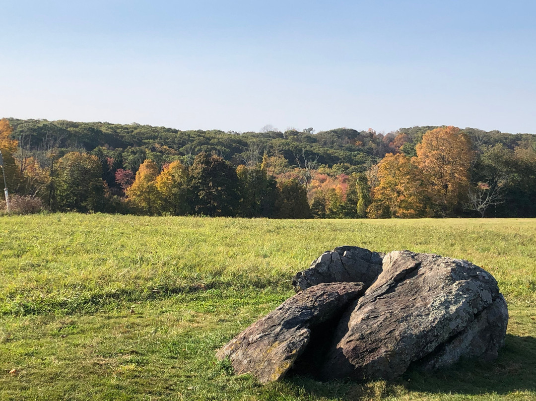 Topsmead State Forest-利奇菲尔德必去景点