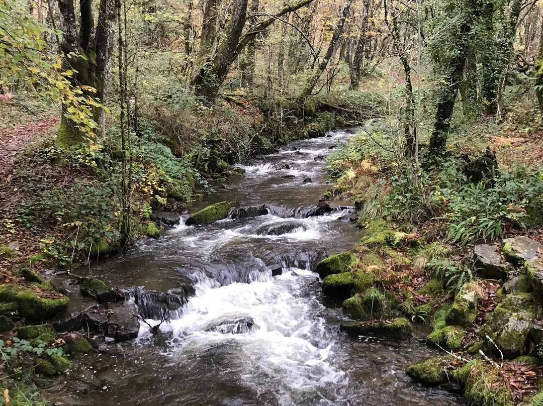 Cascada de Seimeira景点图片