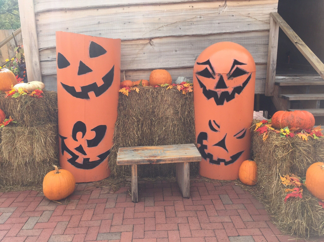 Smith Creek Moonshine-皮金福奇必去景点