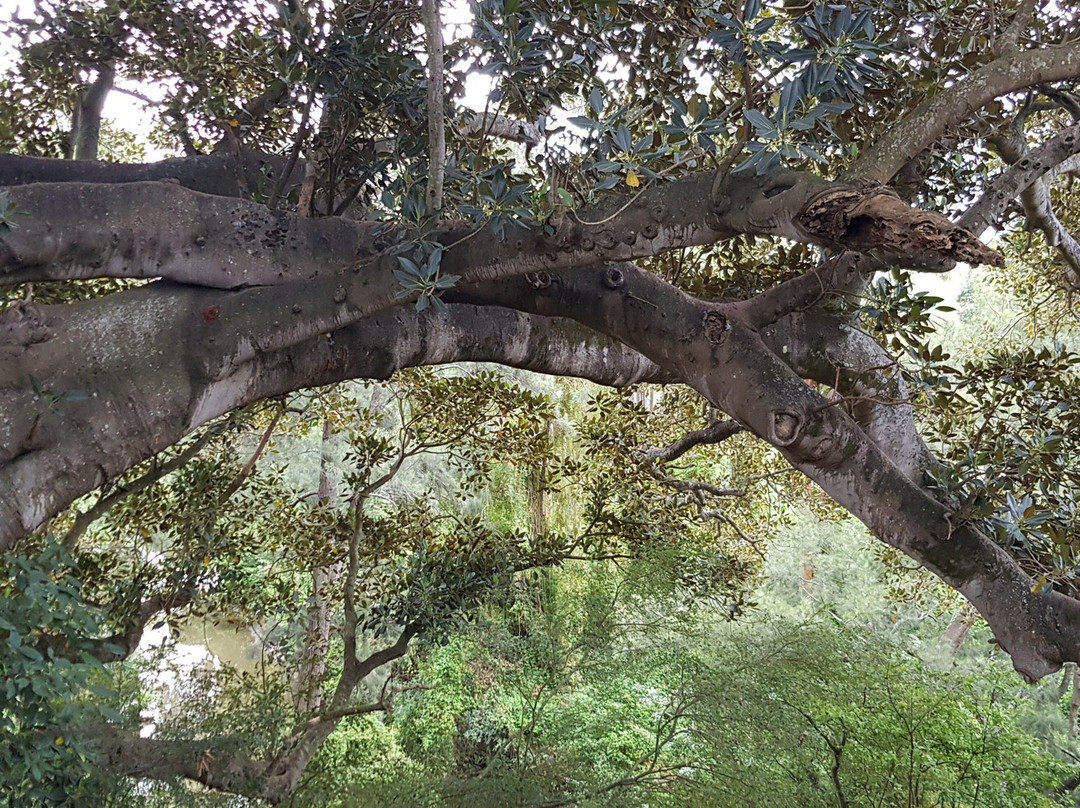 The Barracks Tocal主图