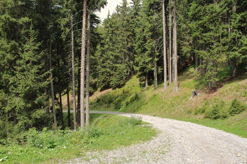 Sentiero Viadacqua E Malga Staffel景点图片