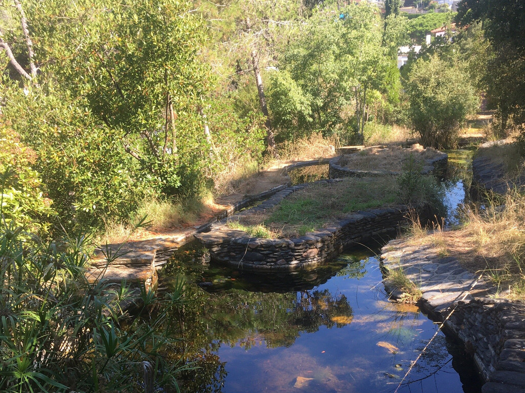 Parc de Can Muntanyà-Caldes d'Estrac必去景点