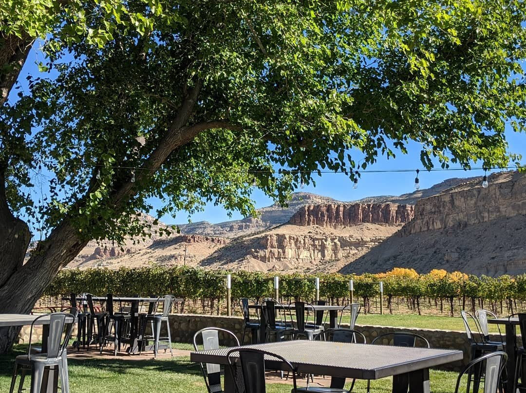 Colterris Wines-Palisade必去景点