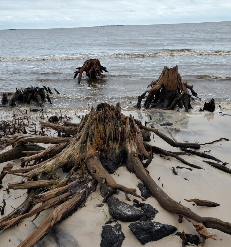 Carrabelle Beach景点图片