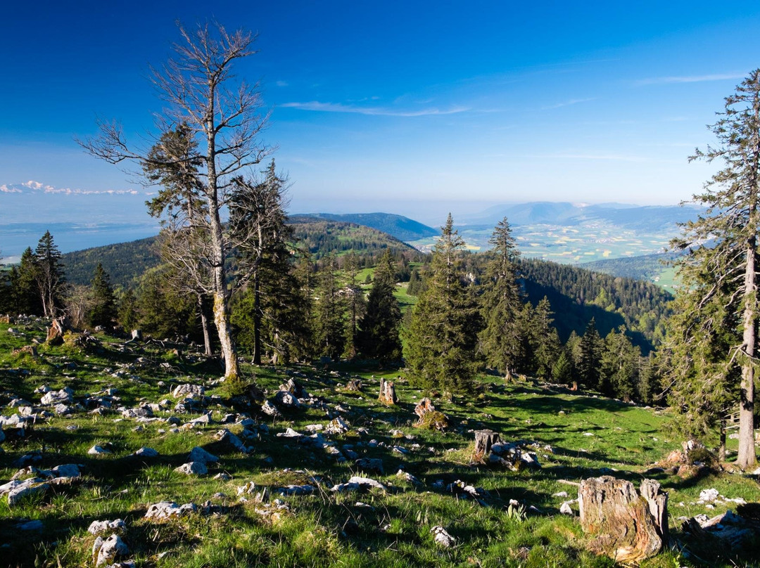 Tourisme Neuchâtelois - Val-De-Ruz-Cernier必去景点