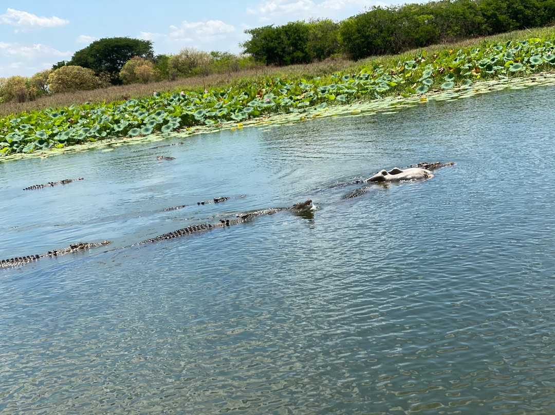 Corroboree Houseboats-Marrakai必去景点