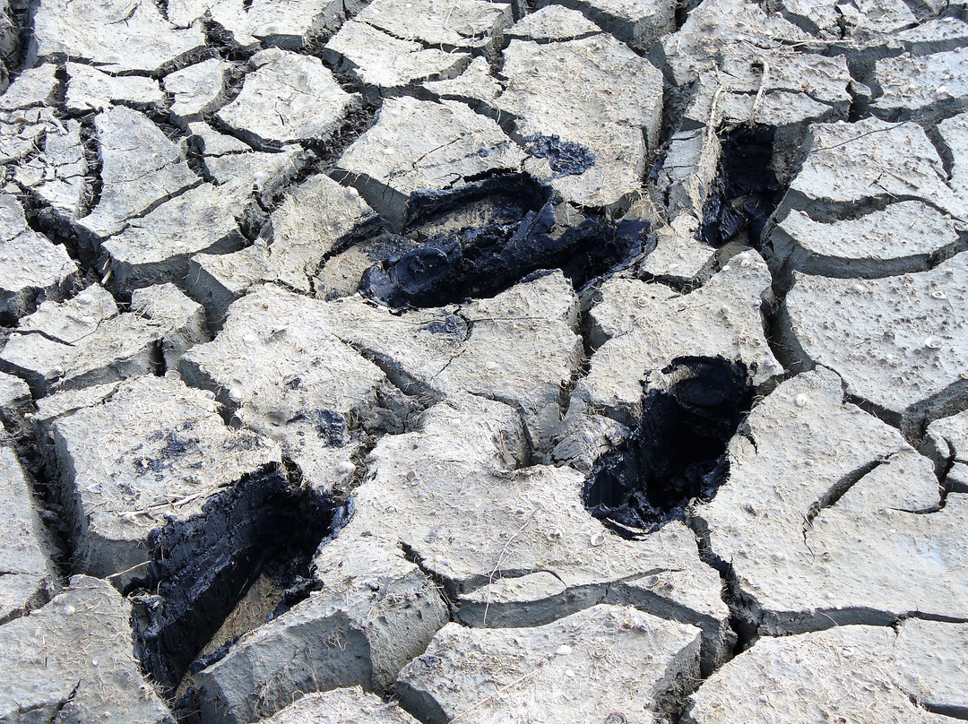 Marais Salants de Guerande景点图片