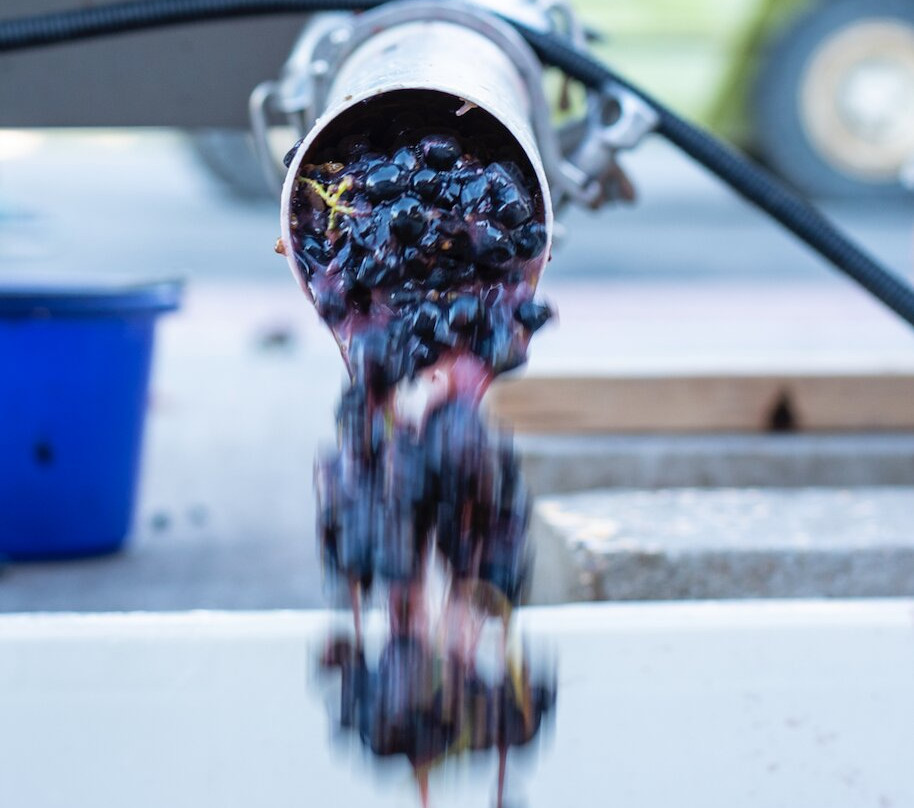 Holesinsky Vineyard & Winery-Buhl必去景点