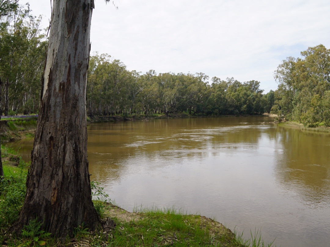 Murrumbidgee Valley National Park景点图片