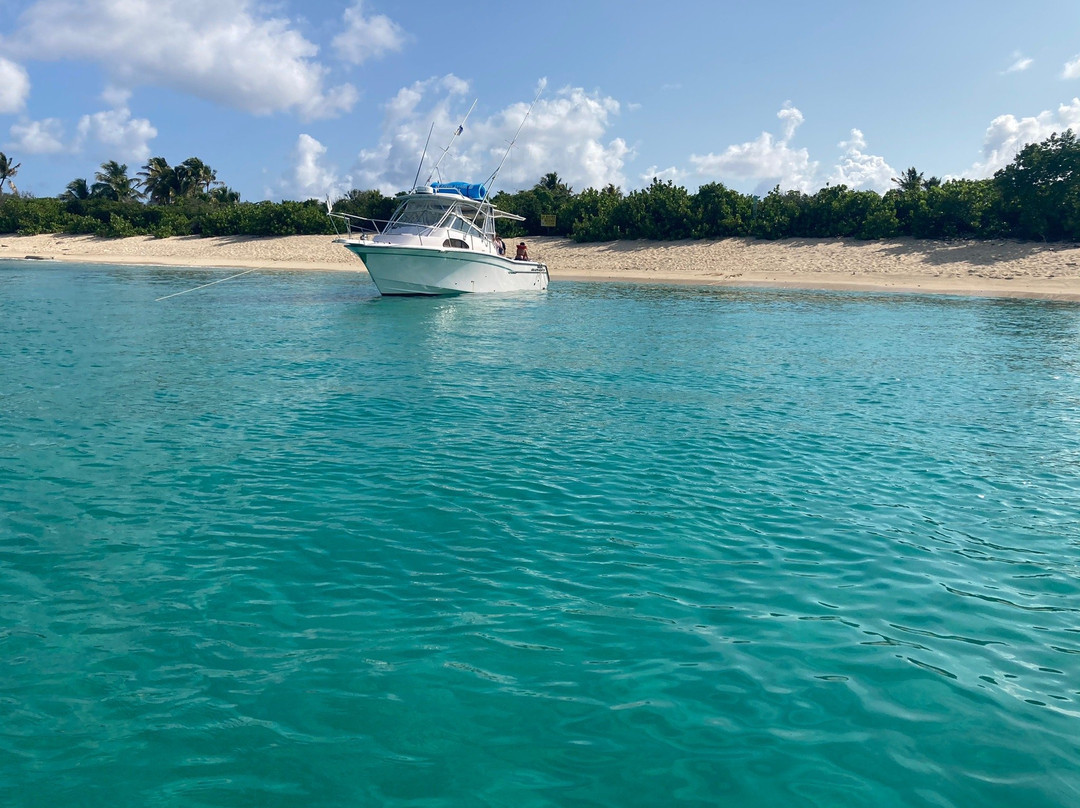 East Coast Water Taxi-法哈多必去景点