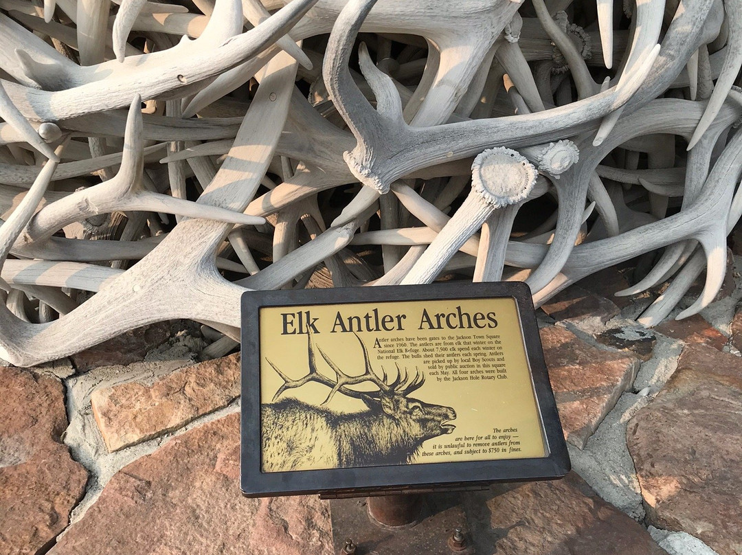 Antler Arches of Jackson-杰克逊必去景点