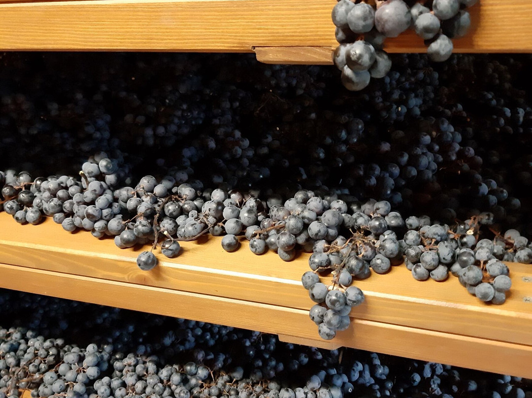 Azienda Agricola Giuseppe Quintarelli景点图片