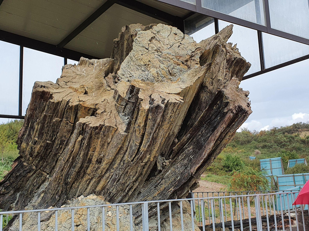 Foresta Fossile-Avigliano Umbro必去景点