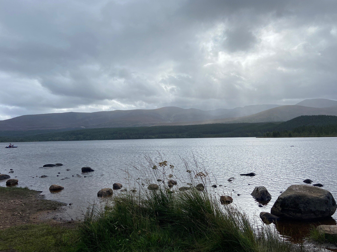 Loch Morlich景点图片
