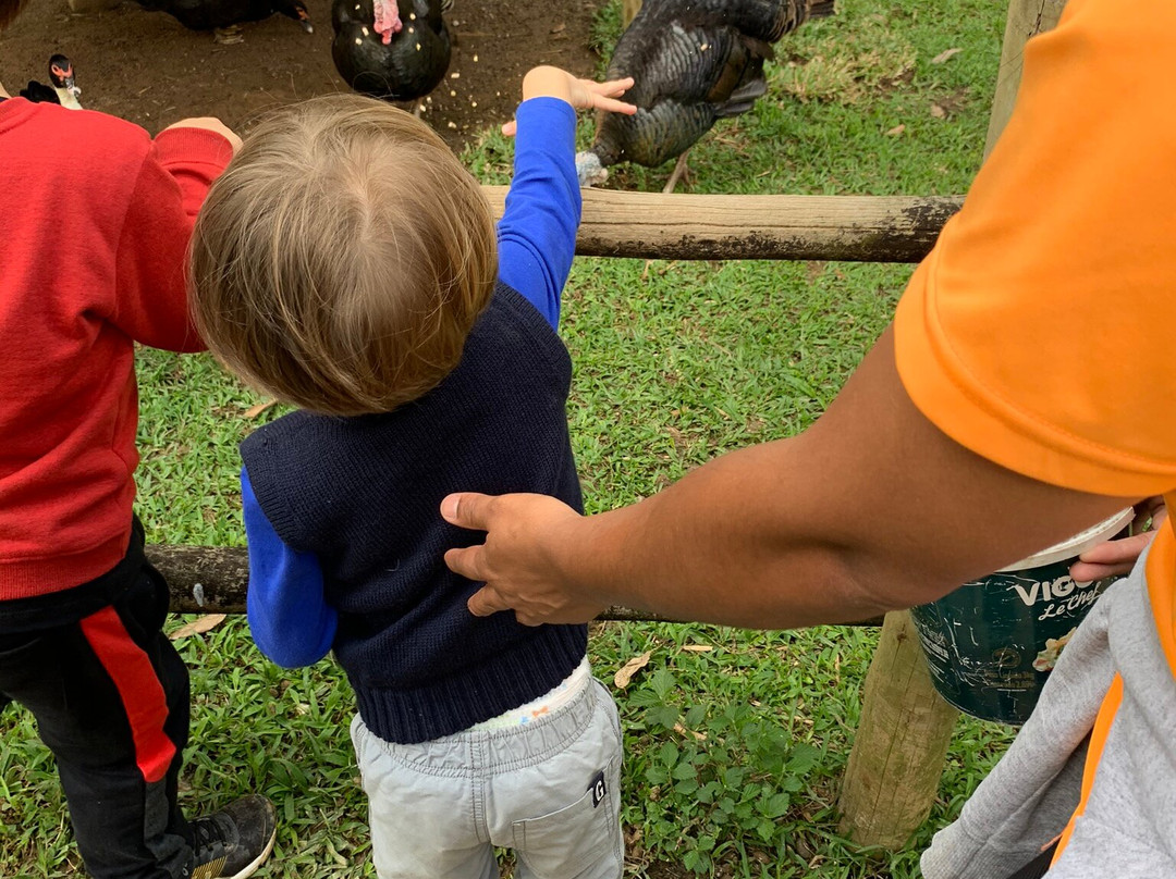 Reserva Aroeira主图