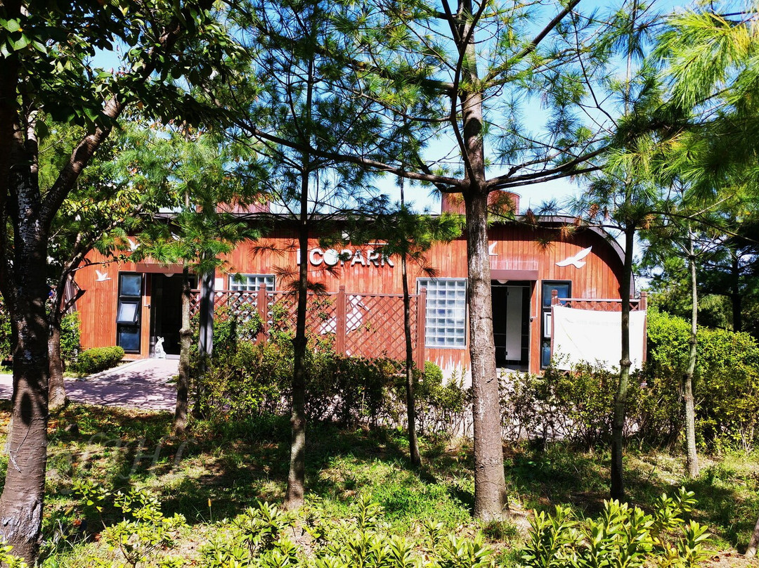 Gimpo Han River Wild Bird Ecology Park-金浦市必去景点