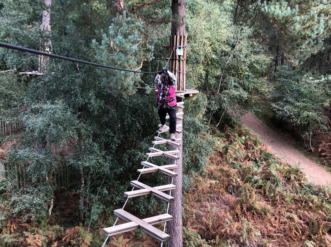Go Ape Cannock景点图片