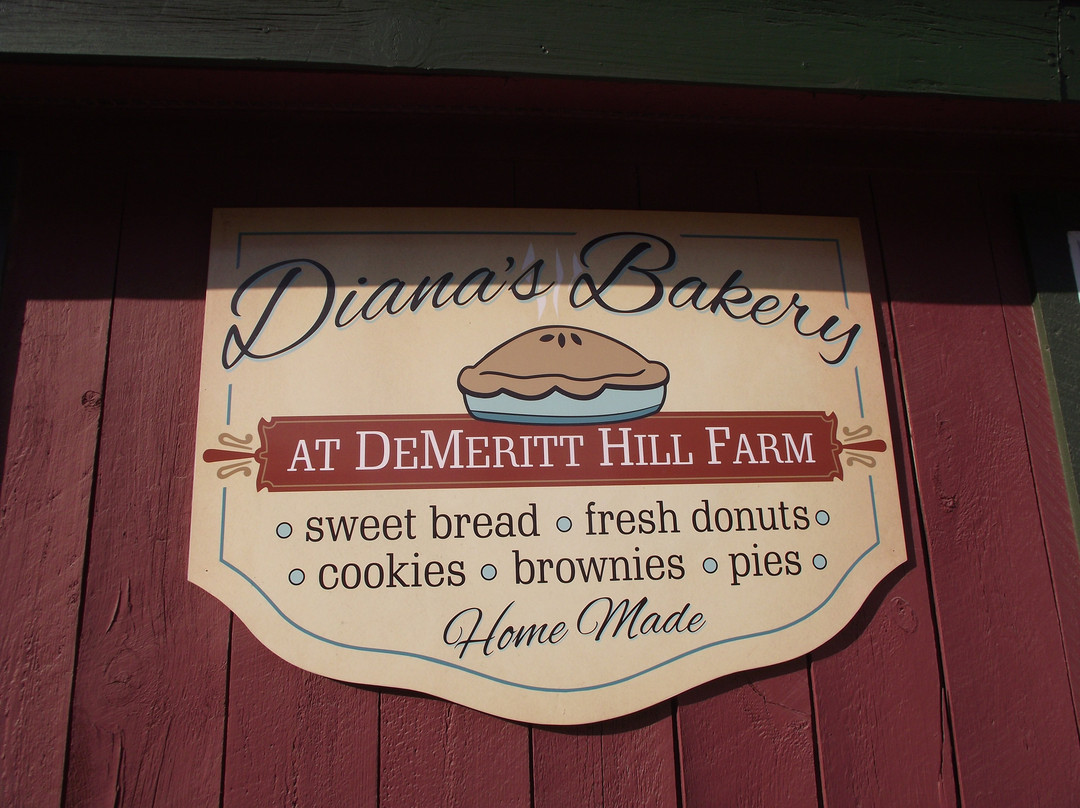 DeMeritt Hill Farm景点图片