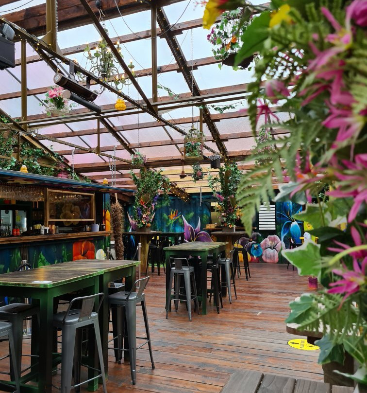 Birdies Bar and Barbeque景点图片