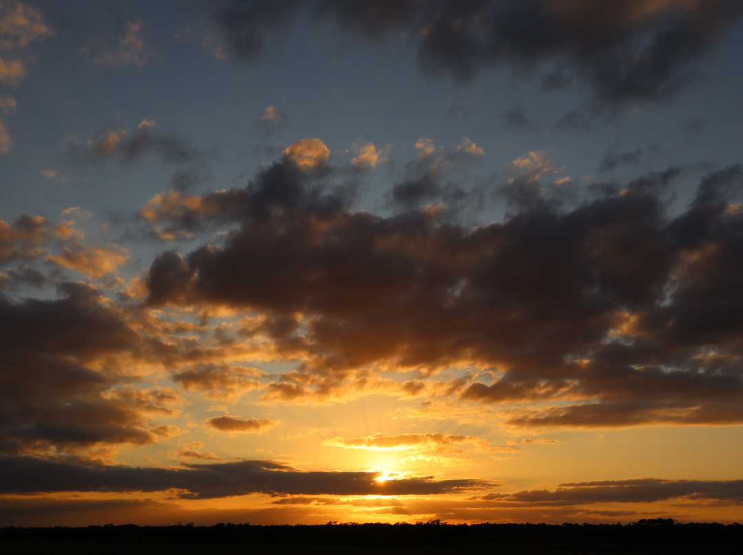 North Inlet - Winyah Bay National Estuarine Research Reserve