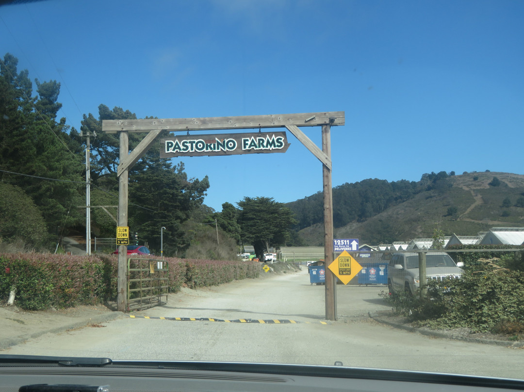 Pastorino Farms-半月湾必去景点