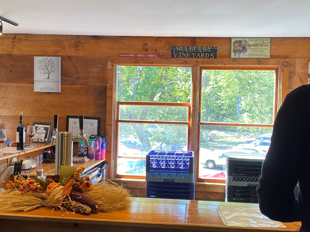 Mulberry Vineyard-Chepachet必去景点