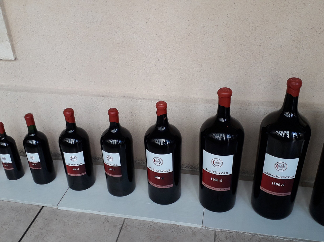 Maison des Vins de Cadillac景点图片