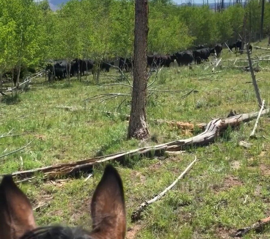 Lost Valley Ranch主图