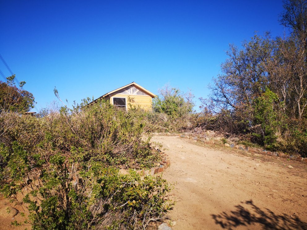 Ecoturismo Tours-Olmue必去景点