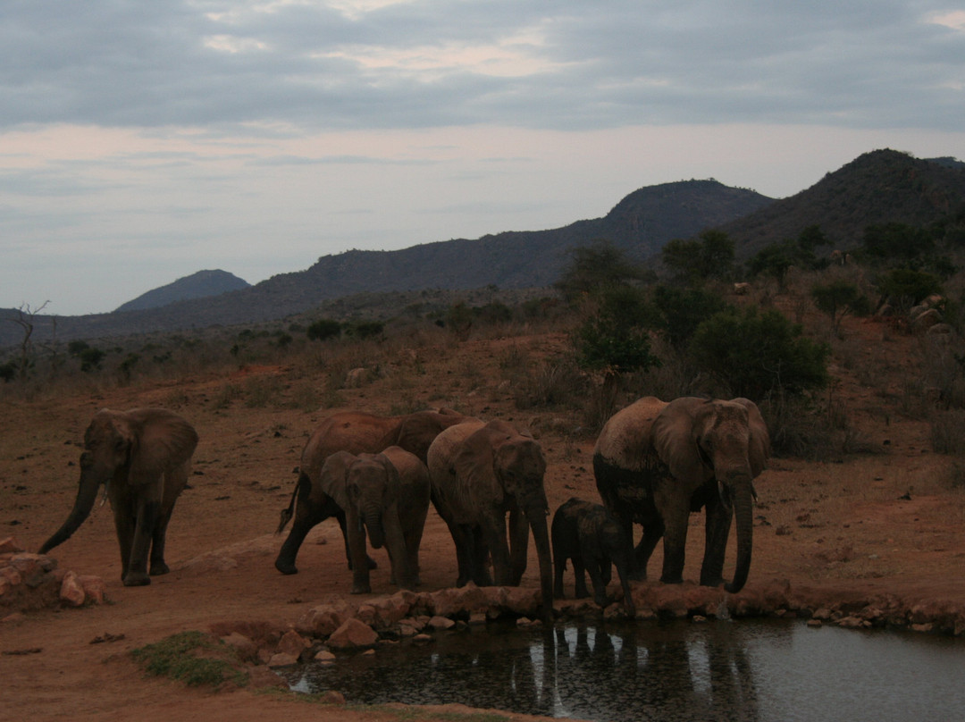 Ngulia Safari Lodge主图