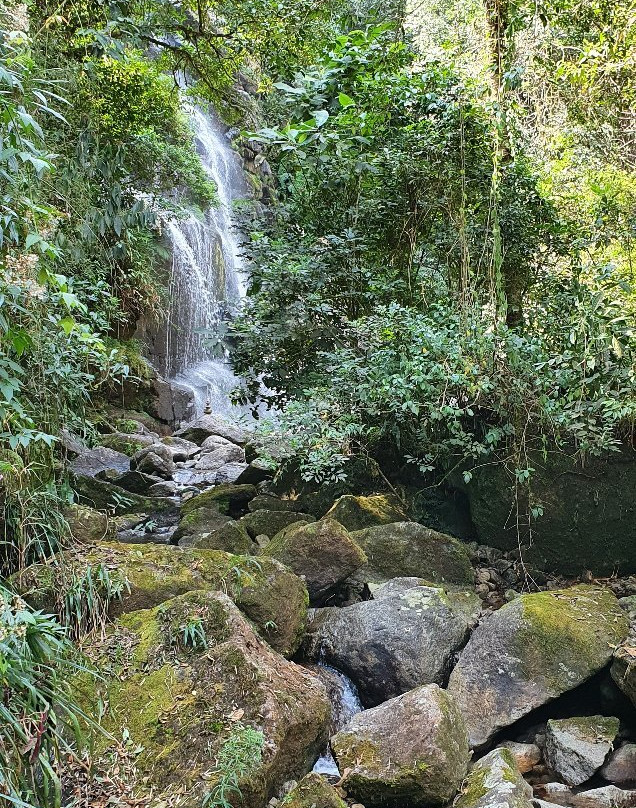 Gute Passeios-Itatiaia National Park必去景点