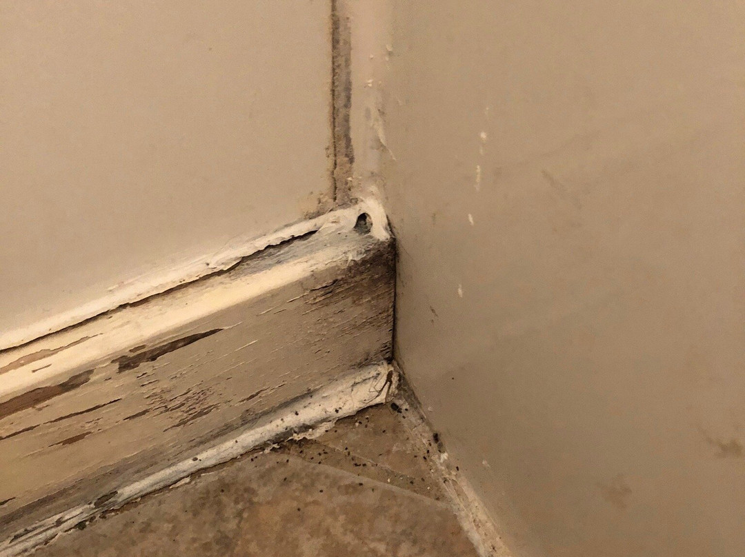 Summerland Motel主图