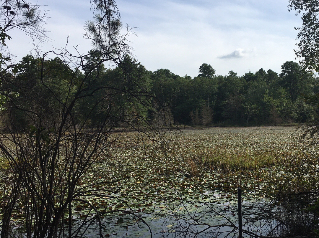 Black Run Preserve-Evesham必去景点