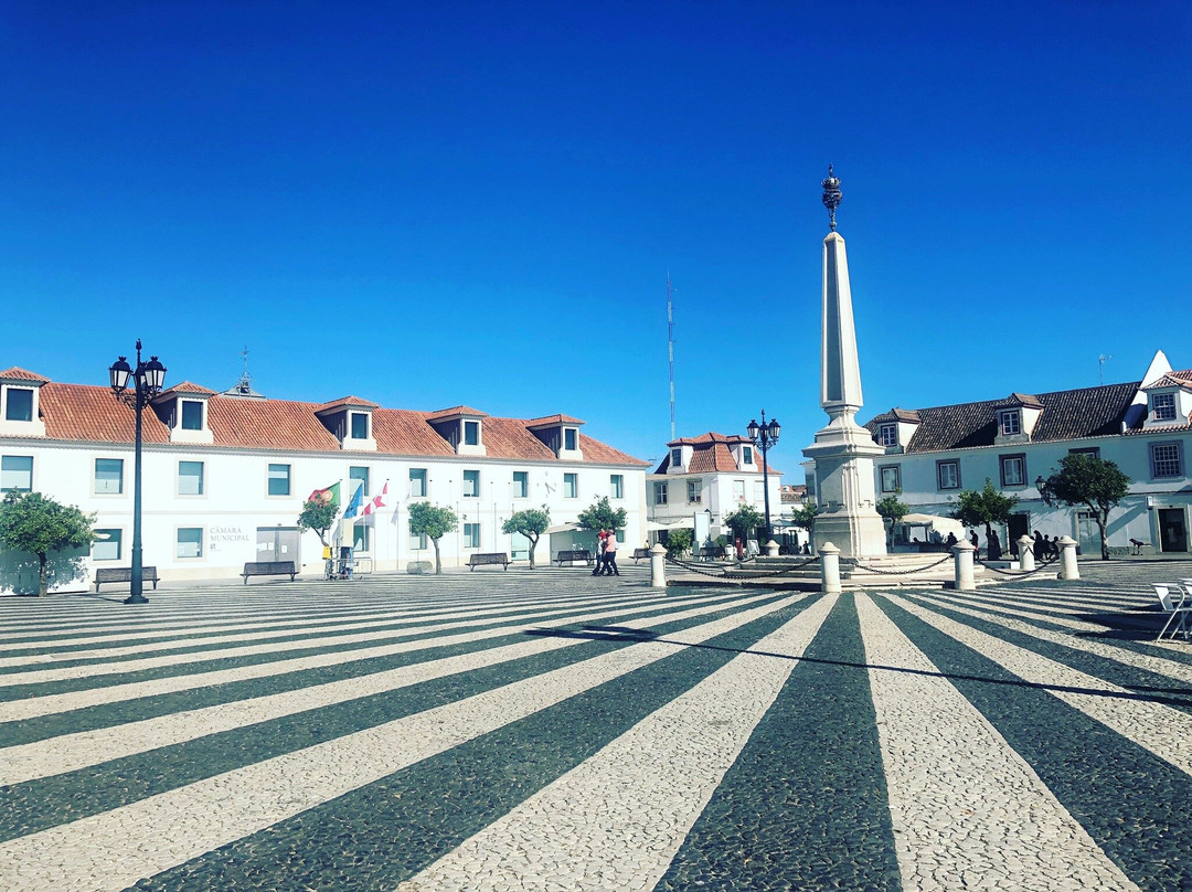 Praca Marques de Pombal景点图片