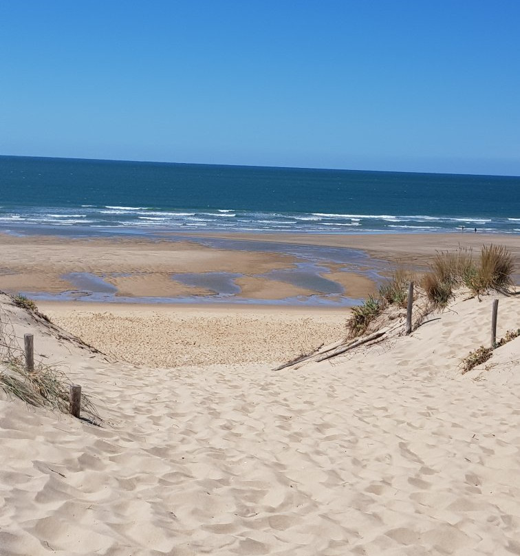 Plage de la Coubre景点图片