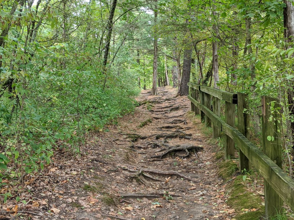 White Pines Forest State Park景点图片